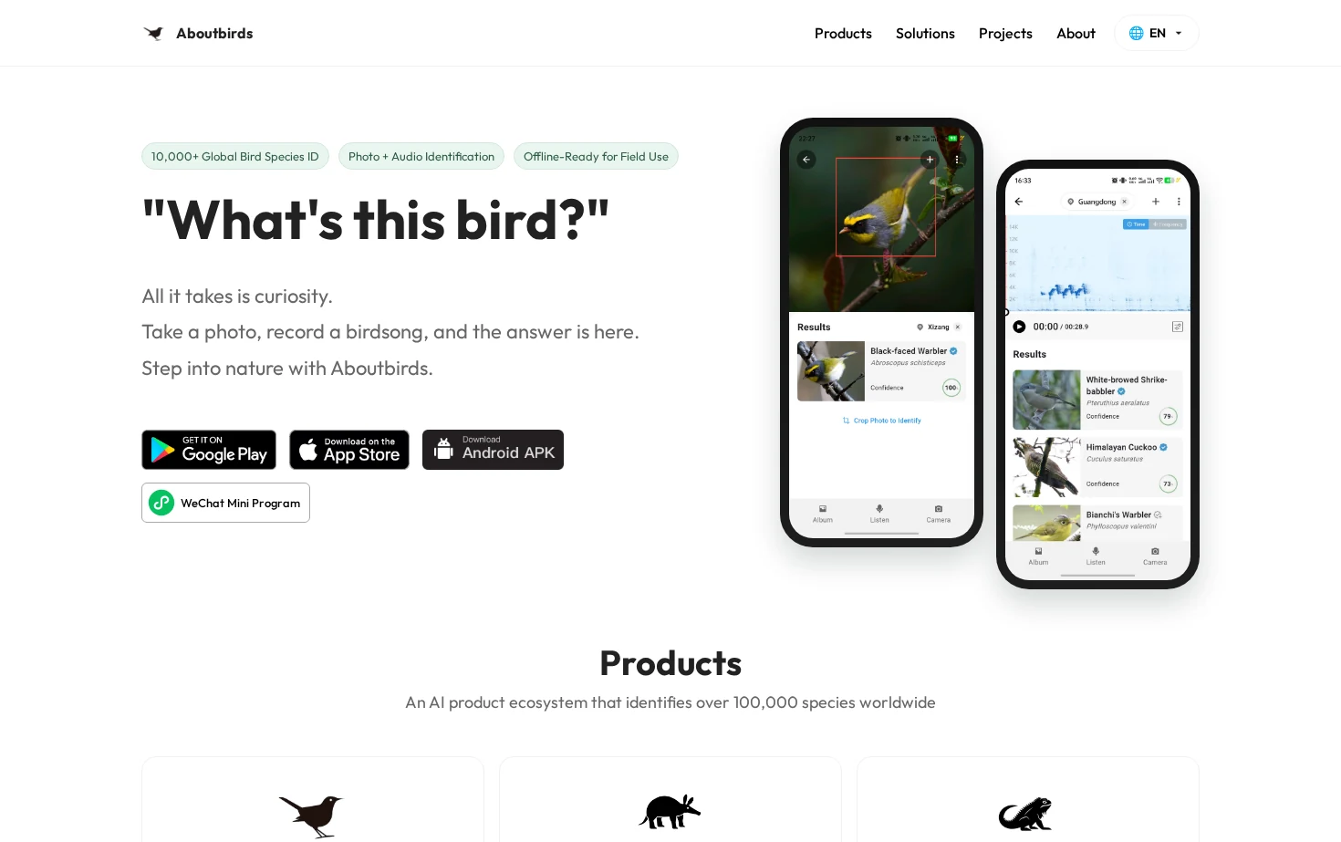 懂鸟（Aboutbirds）识别全球鸟类 页面快照